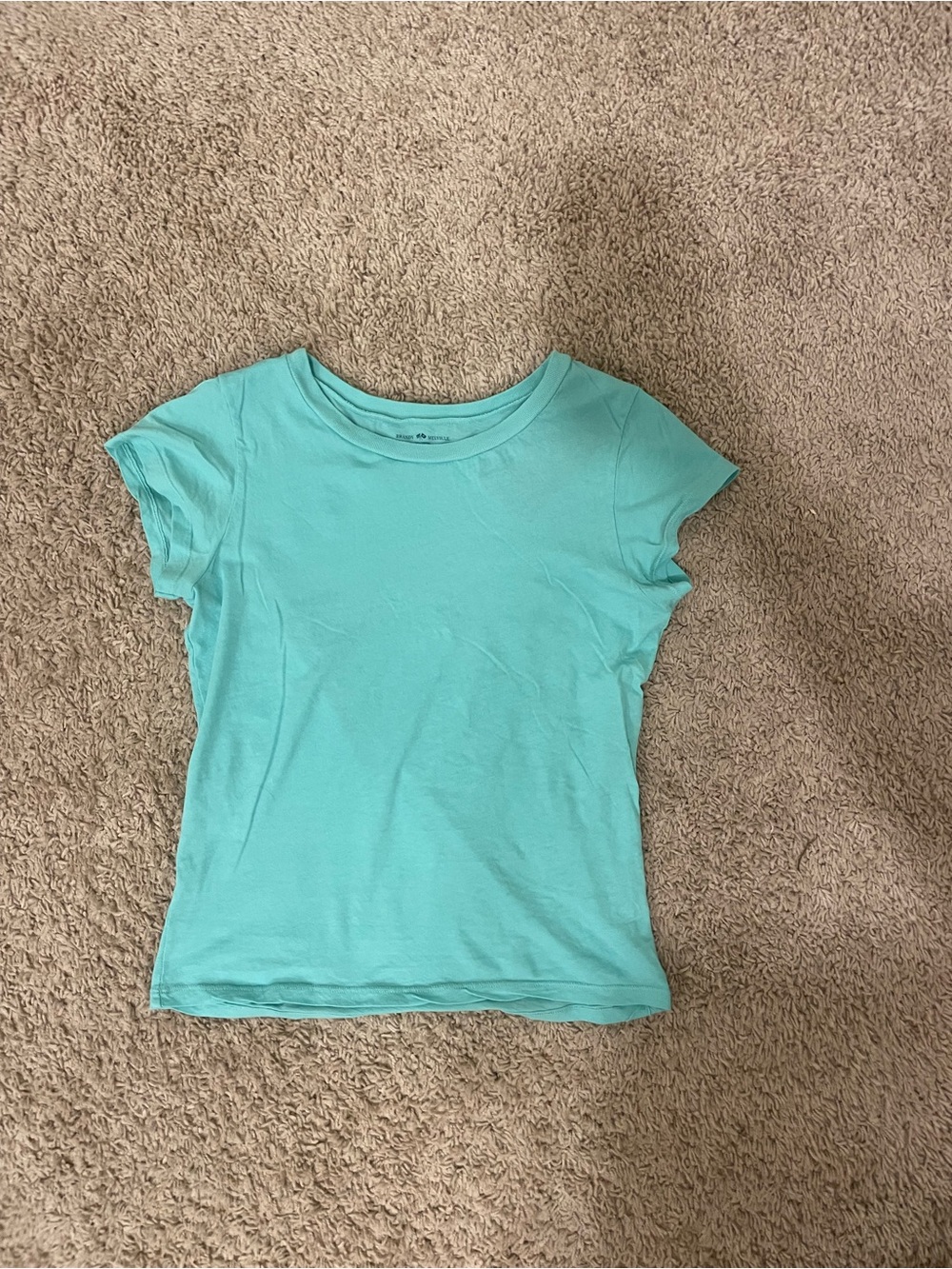 Brandy Melville Aqua/Teal Hailie Short Sleeve Top